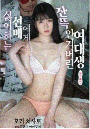 纪录片海岸线手记中文字幕时间轴匹配